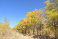 ���������ָɺԺӰ��ĺ����� 