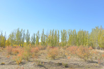 ���������־����ķ����ְ����� 