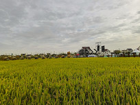 ������Ұ���ֽ�