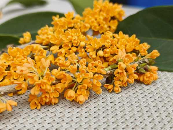 �𻨻�����д