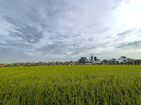 ���յ�������