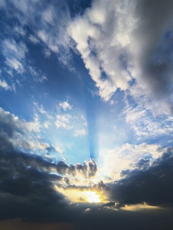 �����ƺ�