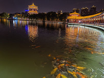 ��԰��Ľ���