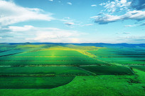 ���Ŀ�����Ұ��� 