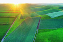 ������ɫ��԰��� 