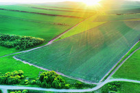 ����������Ұ