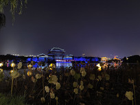 ������ɫ