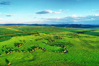 ���ױ��������ʪ����̬���