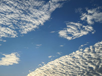 ��ɫ�ƺ�ϼ��