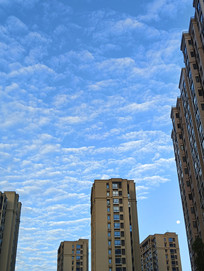 ¥��������