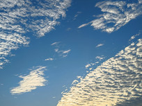 ϼ��������