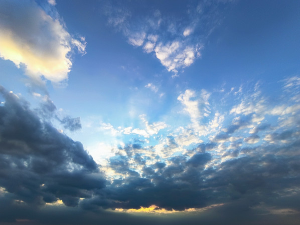 տ�������ϼ