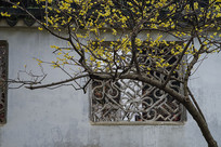 ÷����ǽ��