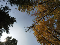 ���Ĺ�԰���