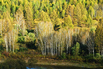 ���˰���������־���