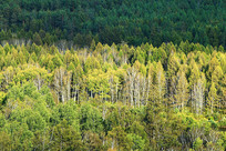 ���˰����ֺ��ﾰ