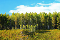 ���˰����ֺ���ɫ