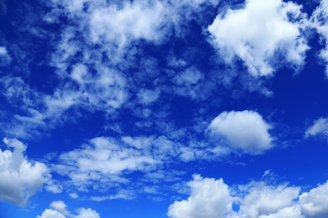 ���˰�������Ʋ�