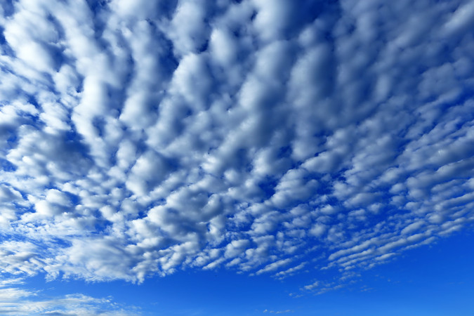 ���˰����ƾ�