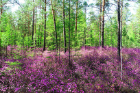 �ž黨ʢ����ï�����ִ���