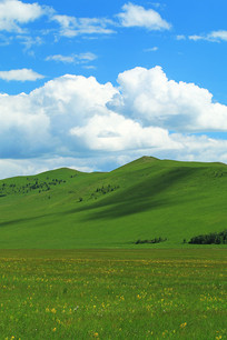 ��ɫ�����ݵؾ���