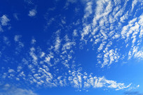 ���˰���̿��ƶ�