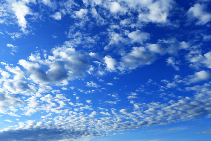 ���˰�������Ʋ�