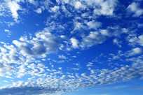 ���˰�������Ʋ�