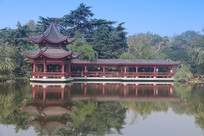 ������ͤ��