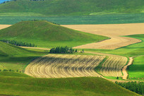 ���ױ��������＾��԰���