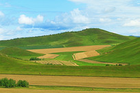 ���ױ��������＾�����Ұ�羰