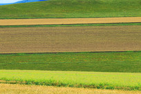 �����ɫɽ��ũ�� 