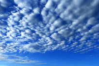 ������ƶ��