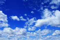 ������ƾ���