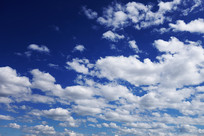 ������ƾ�ɫ