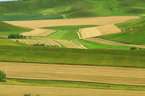 �＾��ɫũ��