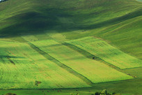 �＾��ɽ��ũ�� 