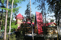 ���˰��뾰��ľ�ṹŷʽ����