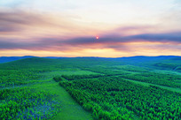 ���˰���Į����ɫ�ֺ�ĺɫ