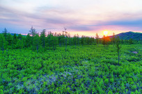 ���˰���Į����ɫ�ֺ�ĺɫ