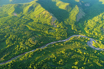 ���Ĵ��˰�����ɫ�ֺ���������