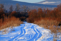 �ֺ�ѩԭɽѩ·����