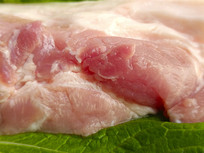 ��Ҷ����ͼ