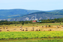 �＾�����ǲݲ���