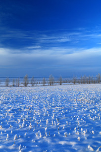 ѩ��ѩԭũ�������ѩ��