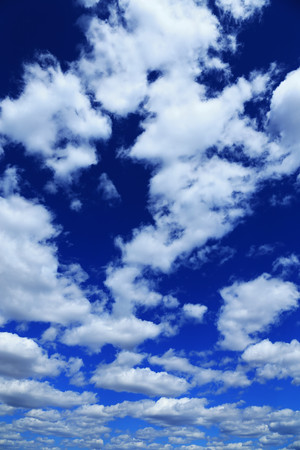 ���˰���������� 