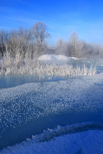 ���˰���������������ѩ��