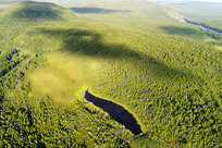 ���Ĵ��˰��������ֺ����� 