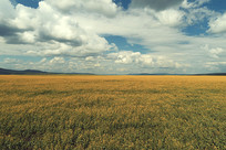 ũ����Ұũ��羰