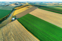 ���ĺ��ױ��������＾��԰��� 